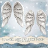 CU Angel Wings FS