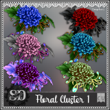 Floral Cluster 1
