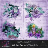 Winter Beauty 2 Match