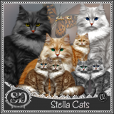 Stella Cats CU