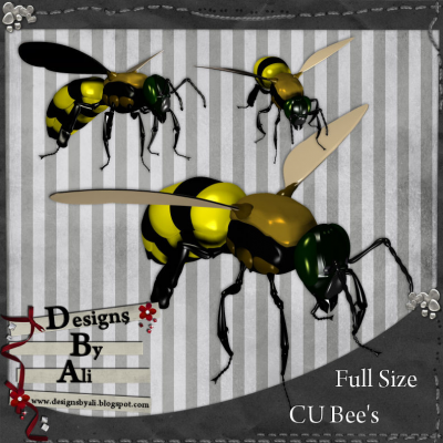 CU Bee's FS