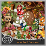 Woodland Creatures Kit