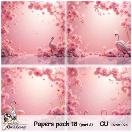 Chris - Papers pack 18 (part 3)