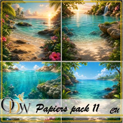 ODW CU papiers 11