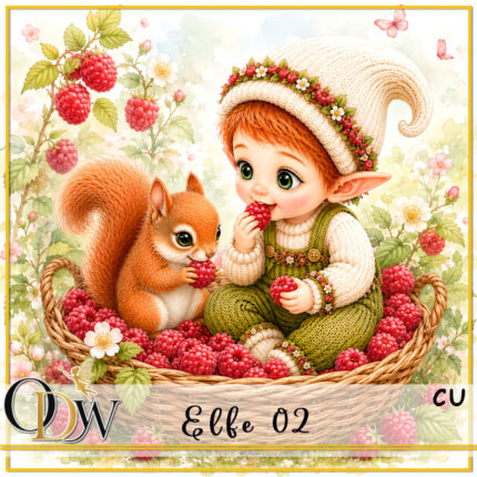 ODW elfe 02